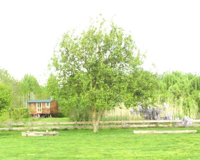 Casetta Sul Lago Albairate Exteriér fotografie